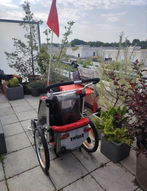 Thule Chariot Cougar 1  Bild 5