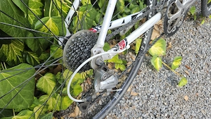 Rennrad der Marke trek Bild 3
