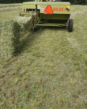 Claas Kleinballenpresse Bild 4