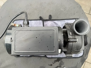 Hot Spring Whirlpool-Pumpe Watkins MFG Corp.   funktionstüchtig