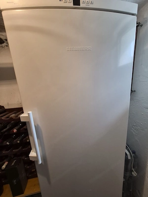 Tiefkühler, Tiefkühlschrank, Tiefkühltruhe Bild 3