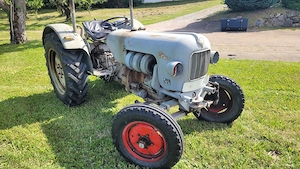 Eicher Tiger 2 EM235 S Oldtimer-Traktor, Baujahr 1963, zu verkaufen Bild 3