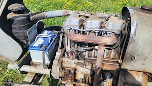 Eicher Tiger 2 EM235 S Oldtimer-Traktor, Baujahr 1963, zu verkaufen Bild 4