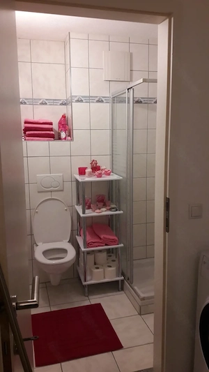 Schöne Kleinwohnung in Ludesch Bild 8