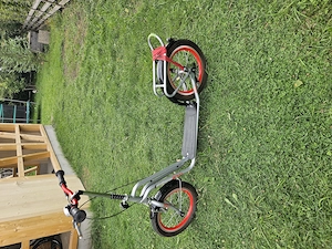 großer Roller Bild 2
