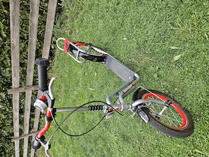 großer Roller Bild 3