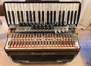 Piatanesi Ottavianelli Cassotto Akkordeon 120 Bässe 5 Stimmzungen Bild 4
