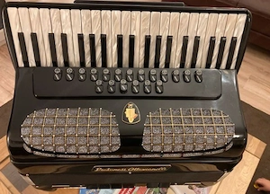 Piatanesi Ottavianelli Cassotto Akkordeon 120 Bässe 5 Stimmzungen Bild 2