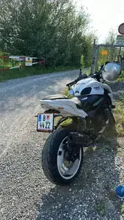 Suzuki GSX-S 1000 2019 Bild 2