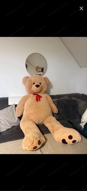 XXL Teddybär