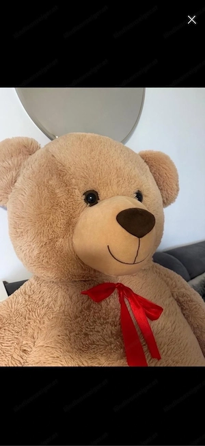 XXL Teddybär Bild 2