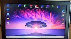 Dell Latitude I5 | 8GB RAM | 240GB | 13,3" HD | Win 11 PRO | Office Paket Bild 2
