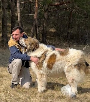 Tornio sucht hundeerfahrene Menschen Bild 2