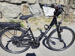 Damen Pegasus Ebike,gebraucht. Bild 3