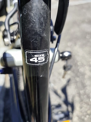 Damen Pegasus Ebike,gebraucht. Bild 2