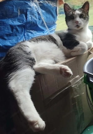 Mishko möchte mit IHNEN neu durchstarten Bild 8
