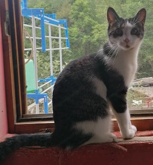 Mishko möchte mit IHNEN neu durchstarten Bild 2