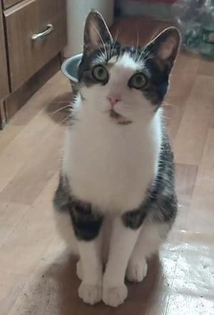 Mishko möchte mit IHNEN neu durchstarten Bild 4