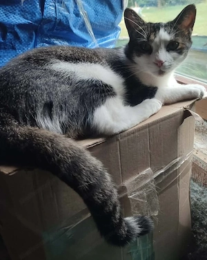 Mishko möchte mit IHNEN neu durchstarten Bild 3