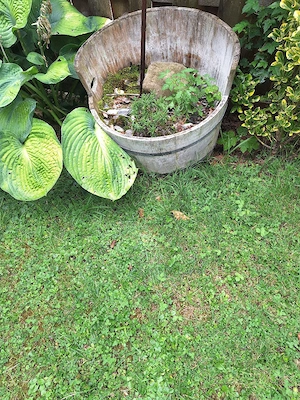 Gartendeko Bild 4