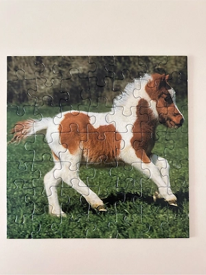 Puzzle Pferde 3x49 Teile ab 5 Jahren Bild 4
