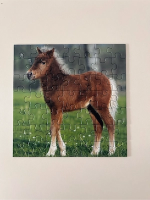Puzzle Pferde 3x49 Teile ab 5 Jahren Bild 2