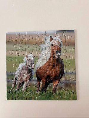Puzzle Pferde 3x49 Teile ab 5 Jahren Bild 3