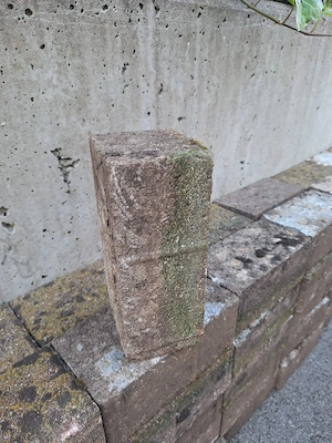 Kleine Randsteine zu verschenken Bild 2
