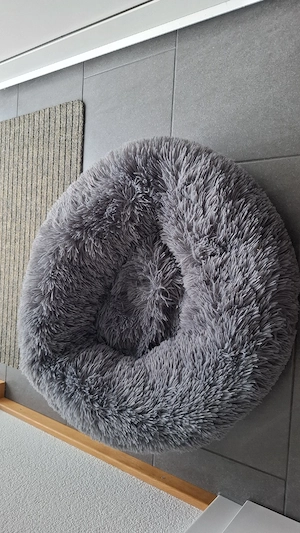 Kostenlos Katzenbett