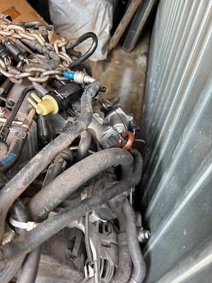 Verkaufe Golf 6 Motor, 1,9l Tdi 110 PS Bild 2