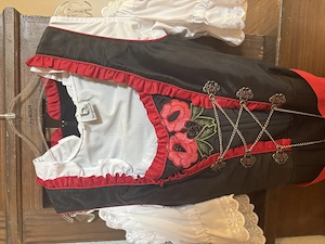 schwarz-rotes bergweiss Dirndl mit Bluse Bild 2