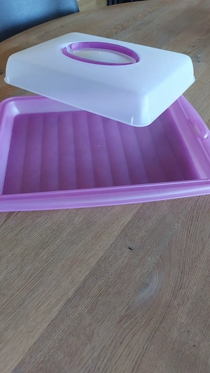 Kuchentransportbox lila