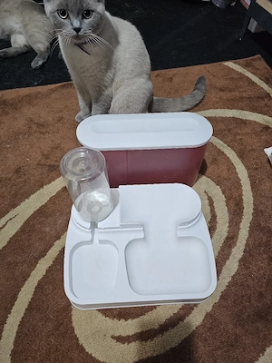 Katzen oder Kleintiere Futter und Wasser  Behälter Bild 3