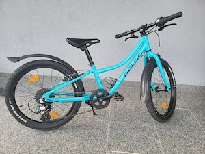 Naloo Kinderfahrrad 20 Zoll Bild 3