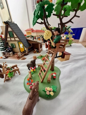 Playmobil Forsthaus Bild 3