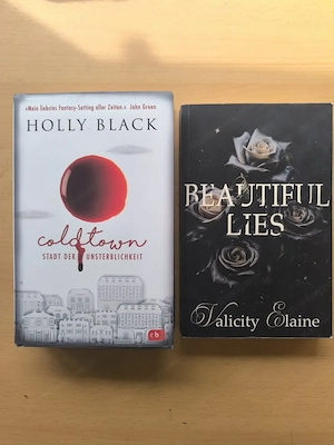 Coldtown Stadt der Unsterblichkeit - Holly Black   Beautiful Lies - Valicity Elaine Bild 2