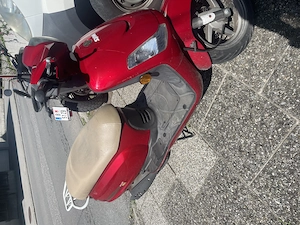 Moped, Sym Fidlle ||  Bild 2