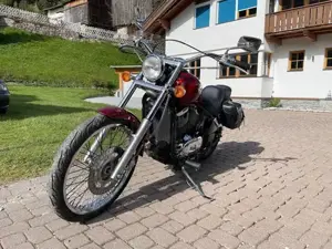 Kawasaki VN 800 A Bild 6