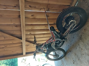 Beta Evo 125, bj 2018 Bild 3