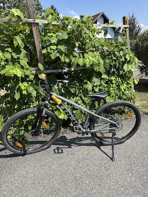 TREK Marlin MTB Jungs 27,5" Bild 2