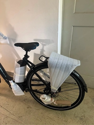 Raymon CityRay E 3.0 SE E-Citybike   NEU & originalverpackt Bild 2