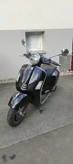 Vepsa GTS 300 Bild 3