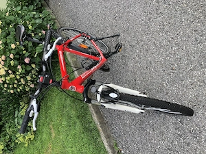 Vertec Mountainbike DBR Bild 2