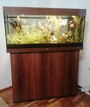 Aquarium *180 Liter*