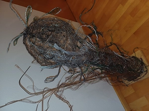 Drahtskulptur, Deko, Möbel, Draht, Kunst, Plastik, Skulptur Bild 5