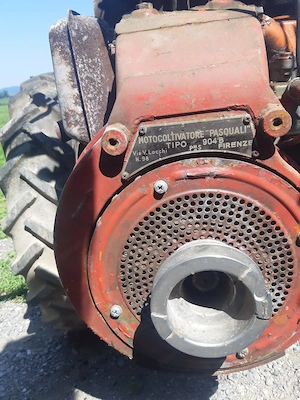 Motor aus einer Schneefräse Bild 3