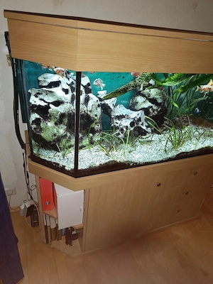 Aquarium Panorama mit Deckel und Unterschrank Bild 5