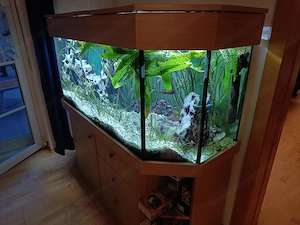 Aquarium Panorama mit Deckel und Unterschrank Bild 3