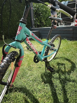 Fahrrad für Kinder 20 Zoll Bild 2