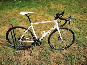 Focus Paralane Carbon Disc   RH 56 (Size L)   weiß   Top-Zustand Bild 6